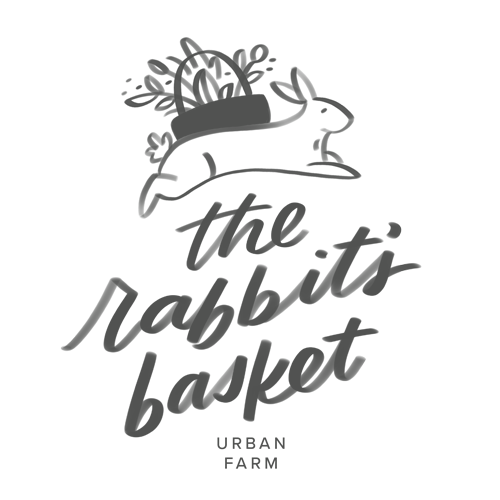 The Rabbit's Basket